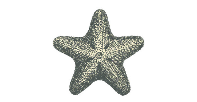 海底生物矢量素材