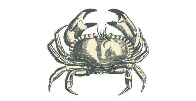 海底生物矢量素材