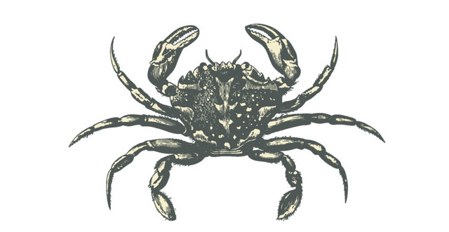 海底生物矢量素材
