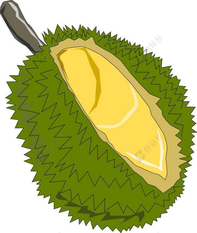 菠萝蜜 水果 异国情调 SOURSOP 杰克树 杰克 JAK