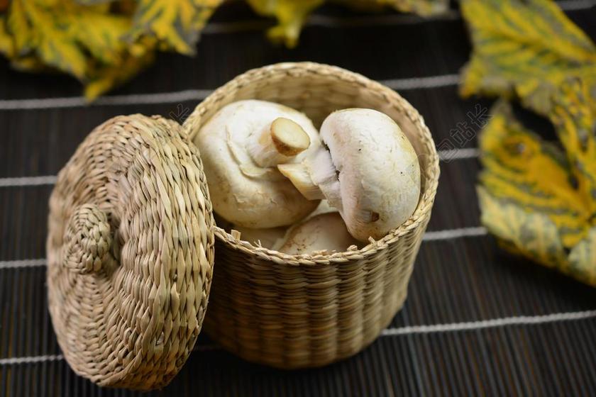 美味 菜 食品 新鲜 新鲜的食物 健康 餐 蘑菇 自然