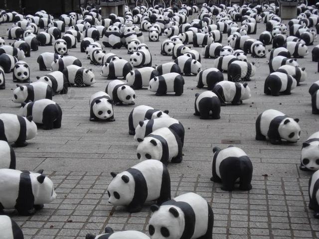 摄影清新堆积的熊猫背景图片