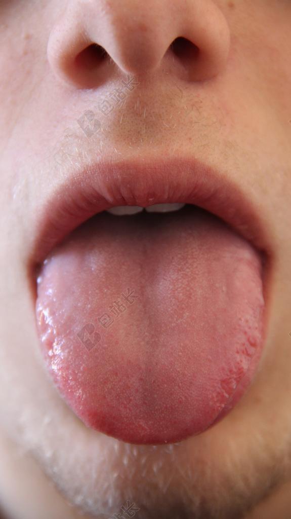 舌头 口 哺乳动物 人类 解剖 头 脸 器官 身体 生物学
