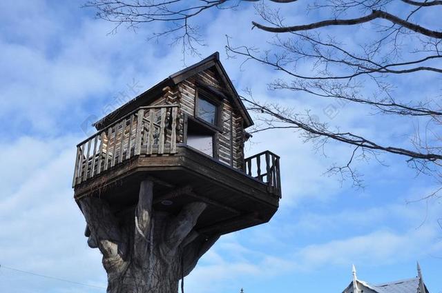 建筑树干上的木屋背景图片
