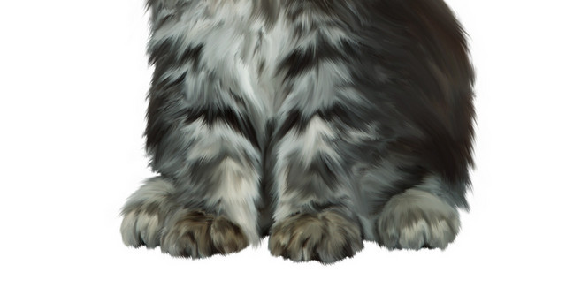手绘卡通猫咪插画素材