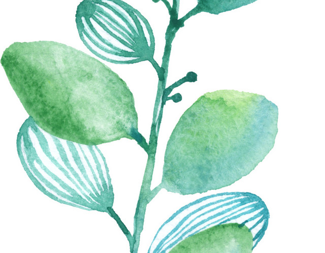 绿色小清新植物插画