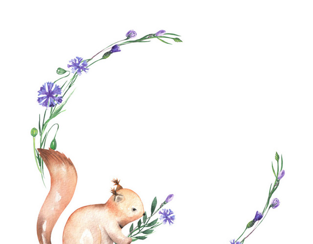 手绘水彩插画松鼠花环标签素材