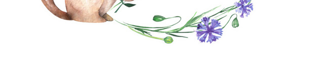 手绘水彩插画松鼠花环标签素材