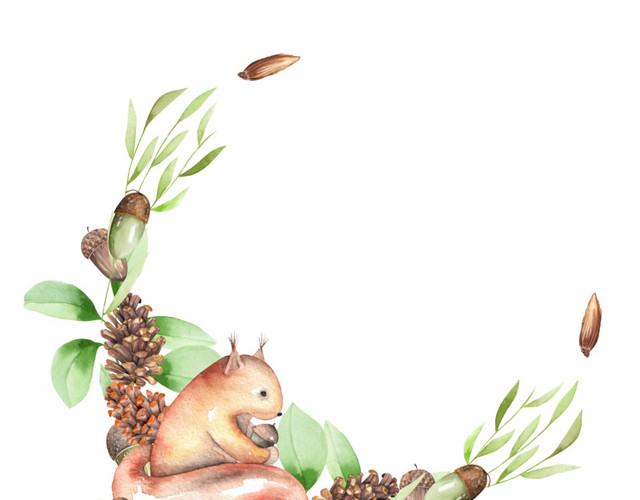 手绘水彩插画松鼠花环标签素材