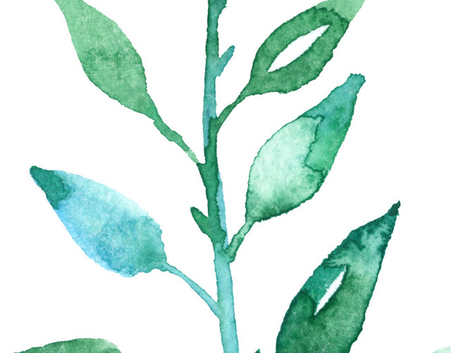 绿色卡通水彩植物插画素材