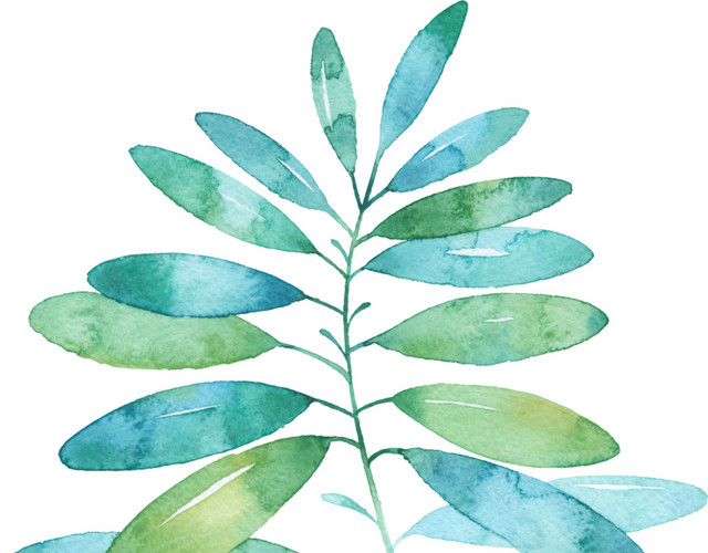 绿色卡通植物水彩插画素材