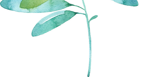 绿色卡通植物水彩插画素材