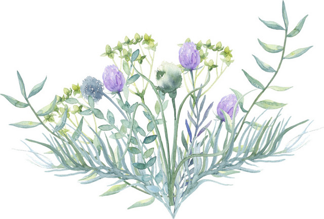 彩色卡通手绘植物花卉水彩插画