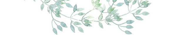 彩色卡通手绘植物花环水彩插画