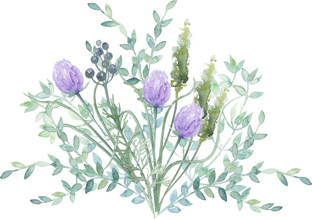 彩色卡通手绘植物花朵水彩插画