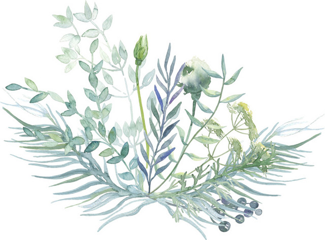 绿色植物水彩插画