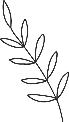黑色线条卡通植物扁平手绘插画
