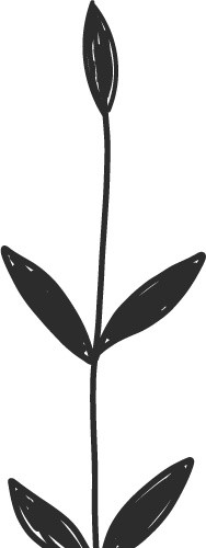 卡通植物手绘扁平插画