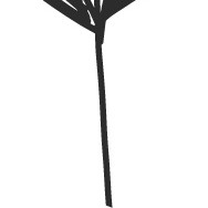 卡通植物手绘扁平插画