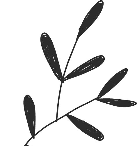 黑色线条卡通植物扁平手绘插画