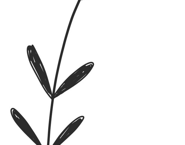 卡通植物手绘扁平插画