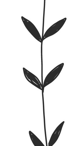 彩色植物卡通扁平手绘插画