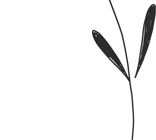 彩色植物卡通扁平手绘插画