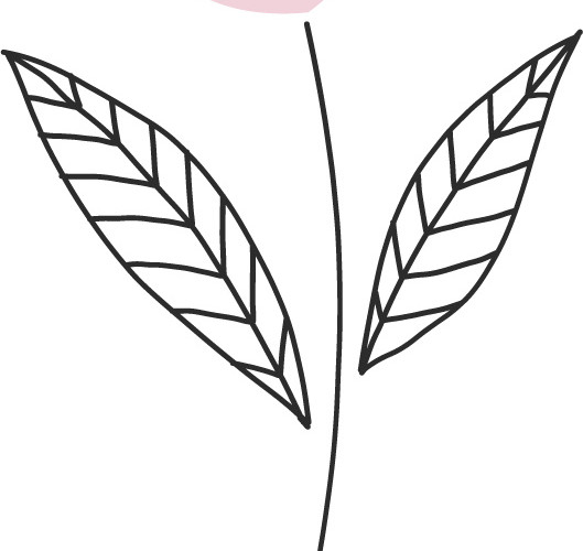 卡通植物手绘扁平插画