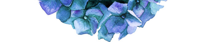 手绘花朵水彩插画