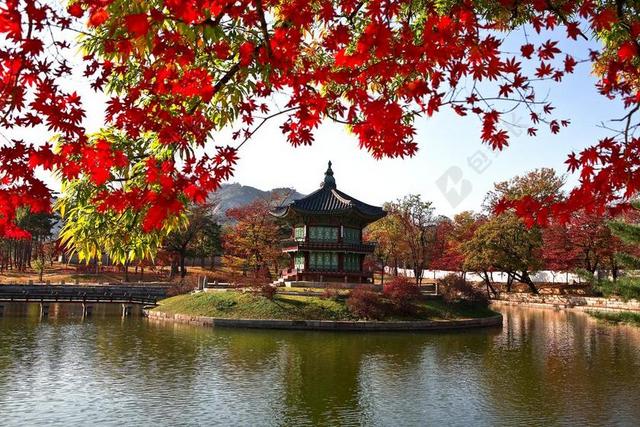面对花园 景福宫 文化财产 屋面瓦 大韩民国 韩国文化 紫禁城