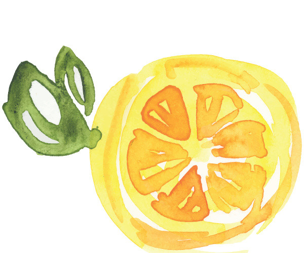 彩色清新水果香橙水彩插画
