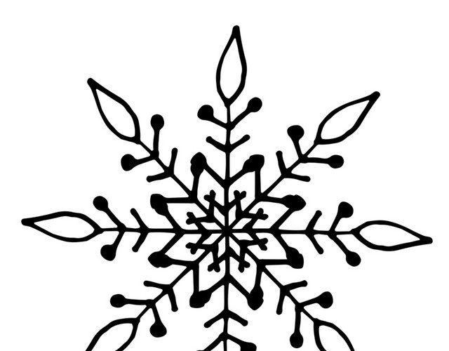 复杂的雪花矢量元素