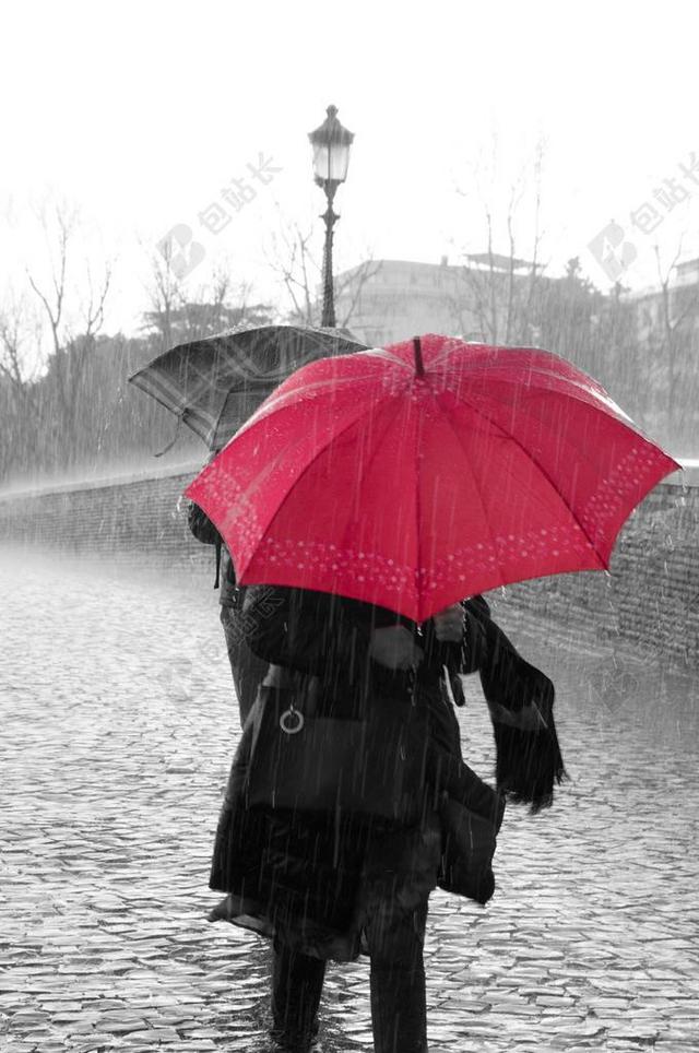 雨 水 滴 下雨天 伞 红色 颜色 黑色和白色