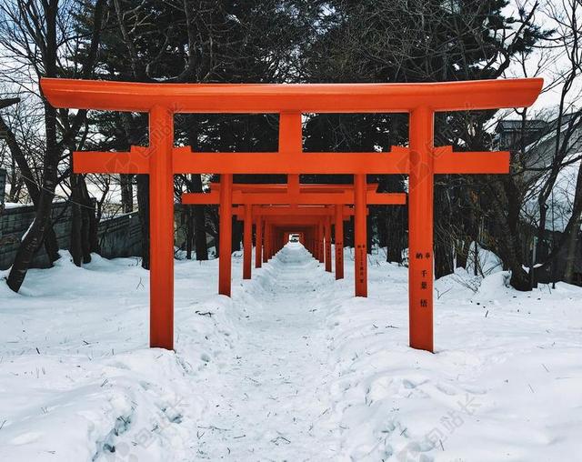 建筑日本神庙红色的门柱背景图片