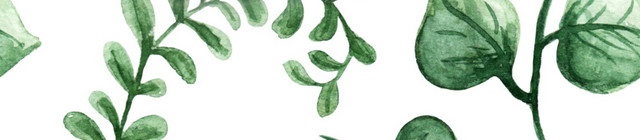树叶素材
