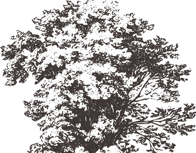 素描素材