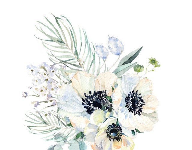 鲜花矢量图
