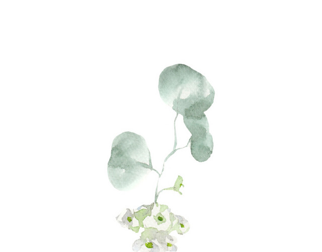 花朵矢量图