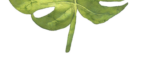 植物绿色叶子PNG素材