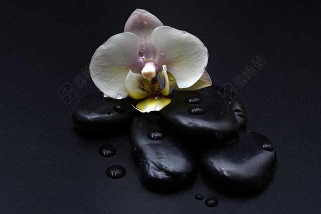 石头 黑色 兰花 兰花花 一滴水 按摩 热石 放宽 恢复