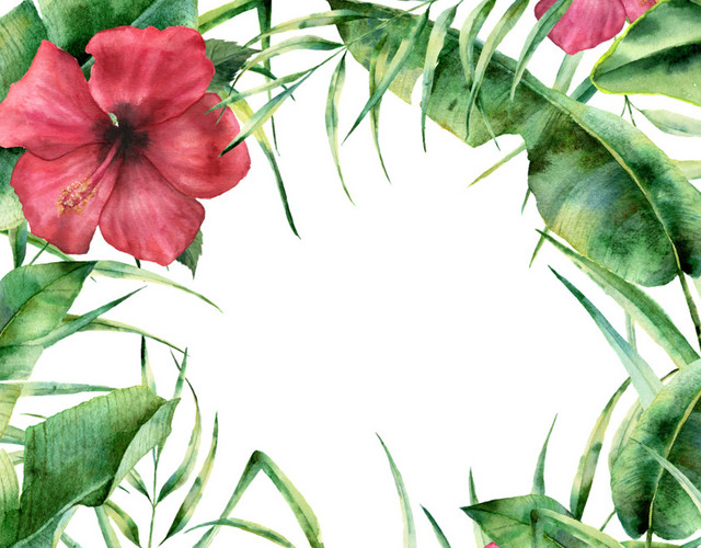 创意风绿植PNG素材