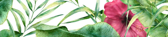 创意风绿植PNG素材