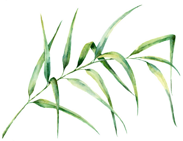 创意风绿植PNG素材