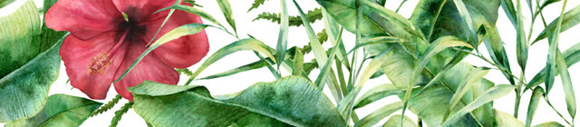 手绘植物叶子花朵PNG素材