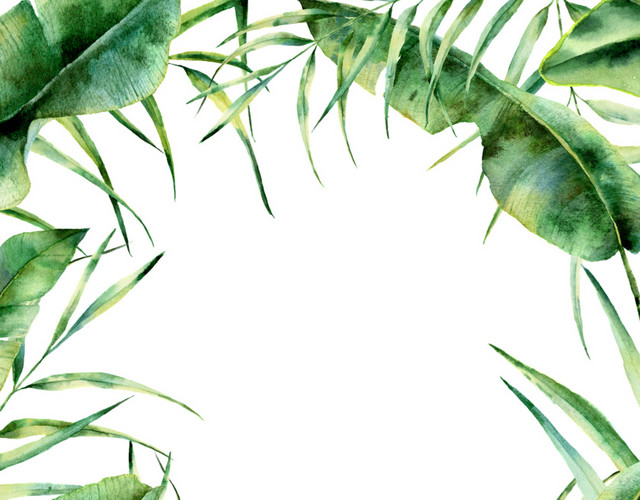 创意风绿植PNG素材