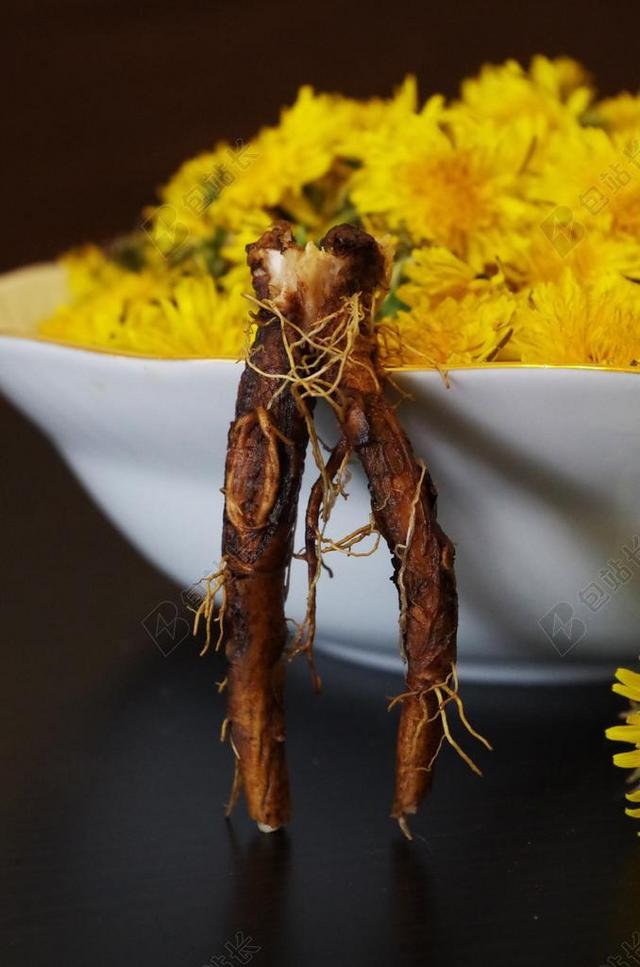 蒲公英 健康 沙拉 鲜花 食谱 根