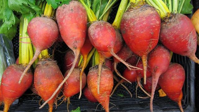 甜菜 本地 有机 健康 市场 食品 农民 花园 蔬菜