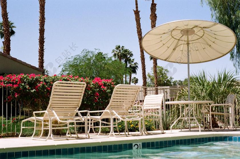 游泳池 池 放松 游泳 假期 夏天 休闲 度假 度假村