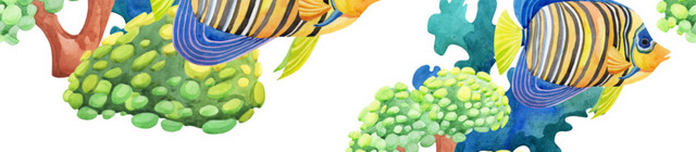 卡通手绘海洋动植物海洋素材元素下载