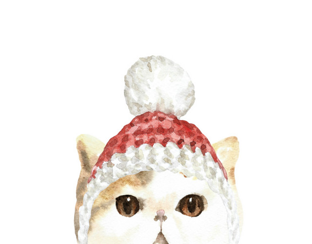 手绘白色小猫帽子素材